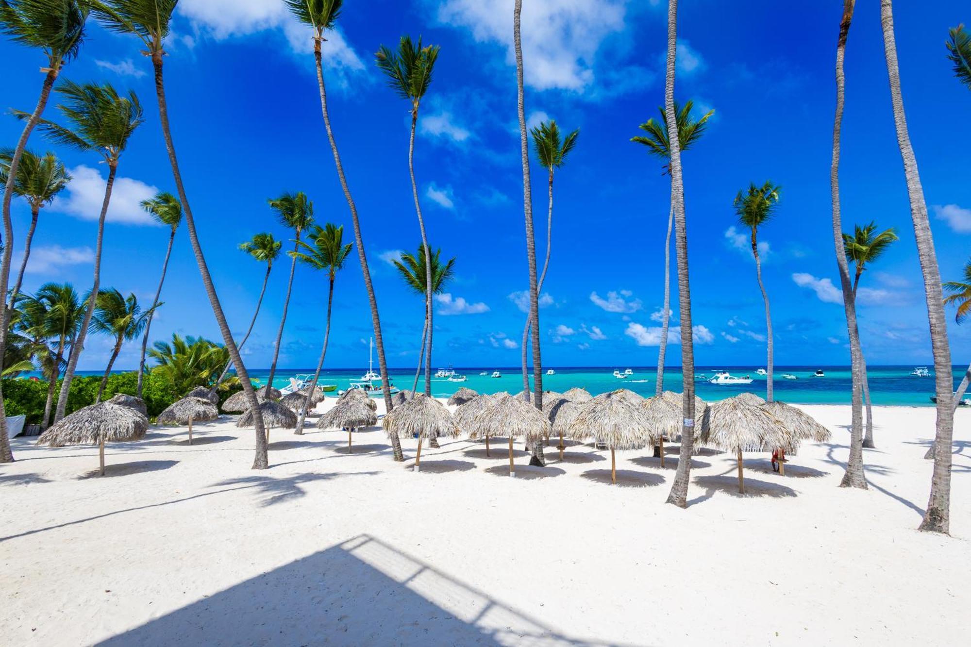 Prime Ocean View Punta Cana Apartments - 3-Bedroom Getaway With Private Terrace On Bavaro Beach Eksteriør bilde
