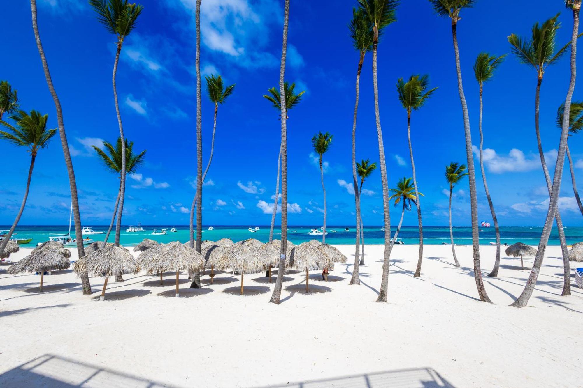 Prime Ocean View Punta Cana Apartments - 3-Bedroom Getaway With Private Terrace On Bavaro Beach Eksteriør bilde